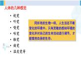 北师大版七年级生物下册第12章 人体的自我调节第1课时 眼与视觉（课件）