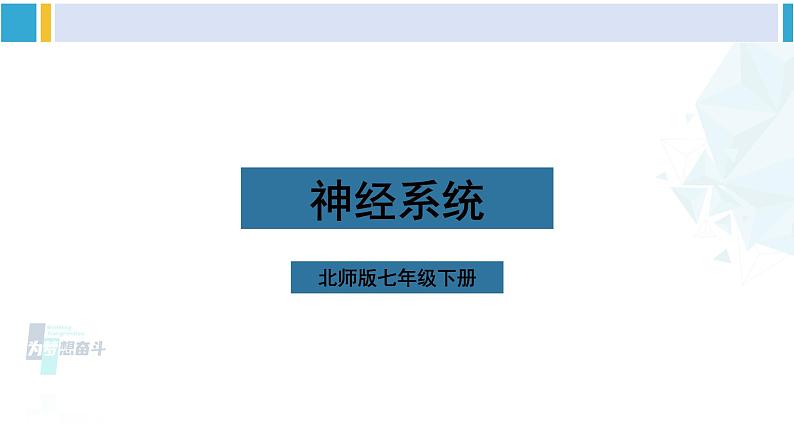 北师大版七年级生物下册第12章 人体的自我调节第1课时 神经系统（课件）第1页