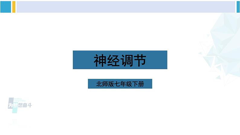 北师大版七年级生物下册第12章 人体的自我调节第2课时 神经调节（课件）01