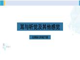 北师大版七年级生物下册第12章 人体的自我调节第2课时 耳与听觉及其他感觉（课件）