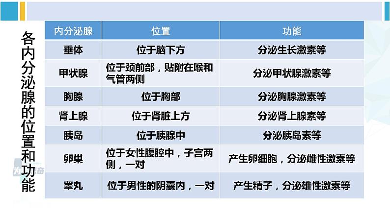 北师大版七年级生物下册第12章 人体的自我调节第3节 激素调节（课件）第6页