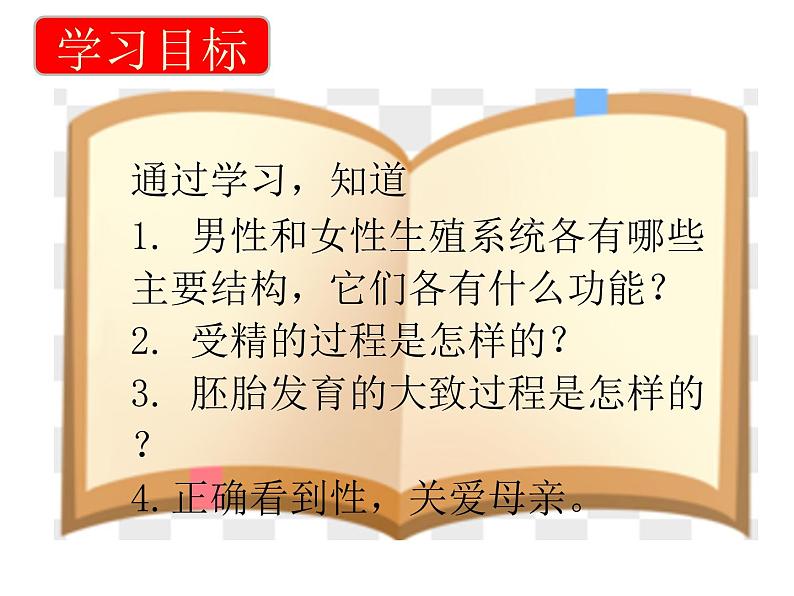 4.1.2++人的生殖++课件-2023-2024学年人教版生物七年级下册第4页