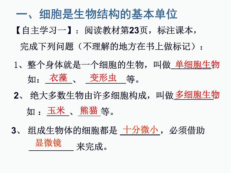 1.2.1++细胞的结构和功能++课件-2023-2024学年济南版生物七年级上册04