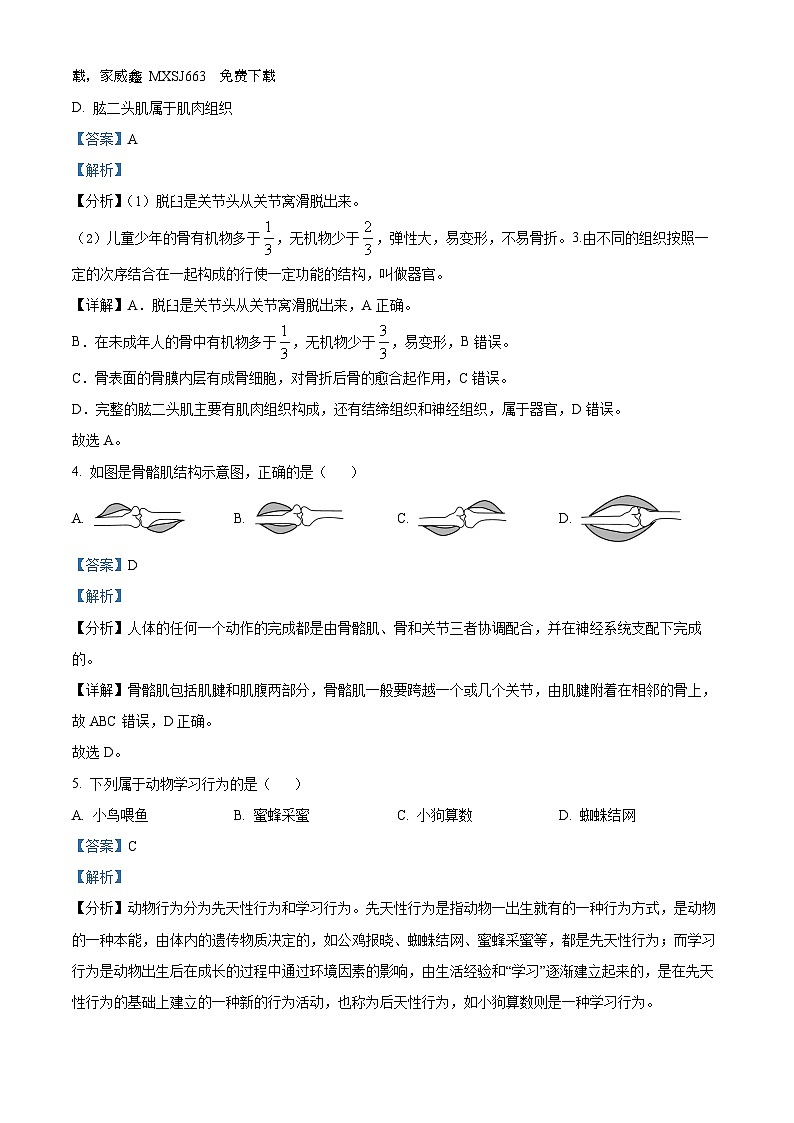 42，广西贵港市桂平市2023-2024学年八年级上学期期中生物试题02