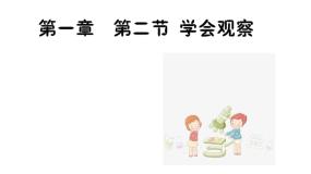 初中生物冀少版七年级上册第二节  学会观察教学演示课件ppt