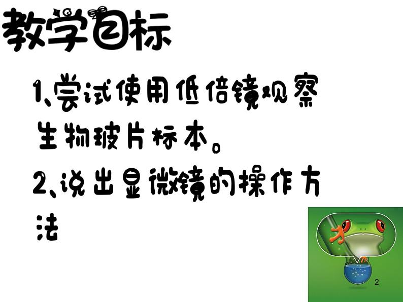 冀教版生物七年级上册 第一章 第二节 学会观察课件02