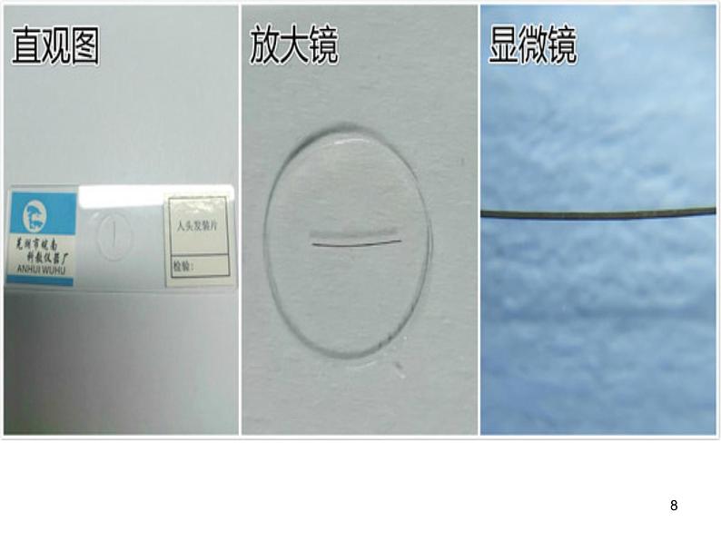 冀教版生物七年级上册 第一章 第二节 学会观察课件08