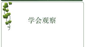 冀少版七年级上册第二节  学会观察图片ppt课件
