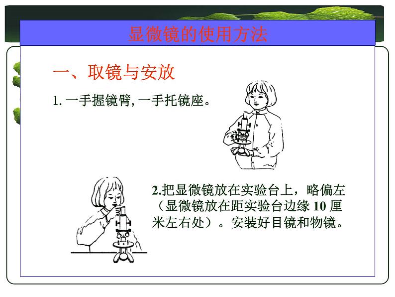 冀少版生物七年级上册 第一章 第二节 学会观察_课件第3页