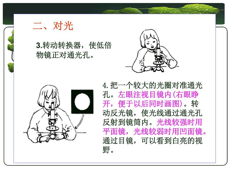 冀少版生物七年级上册 第一章 第二节 学会观察_课件第4页