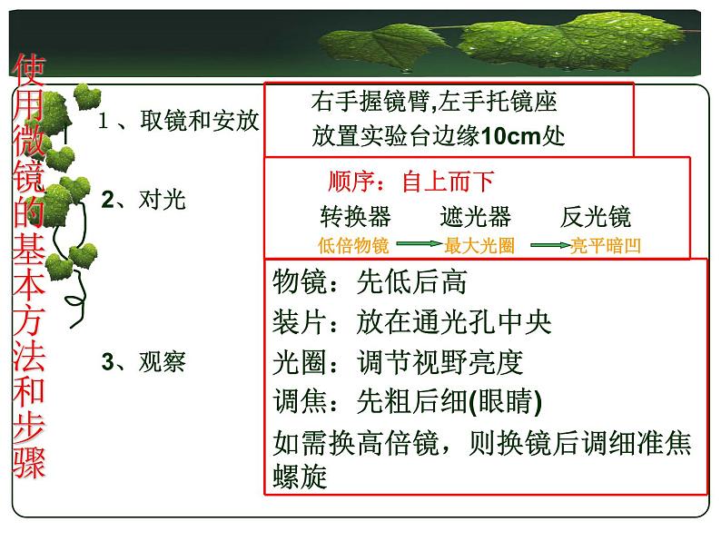 冀少版生物七年级上册 第一章 第二节 学会观察_课件第7页