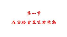 初中生物冀少版七年级上册第一节  在实验室里观察植物课文内容ppt课件