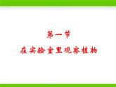 冀少版生物七年级上册 第三章 第一节 在实验室里观察植物课件