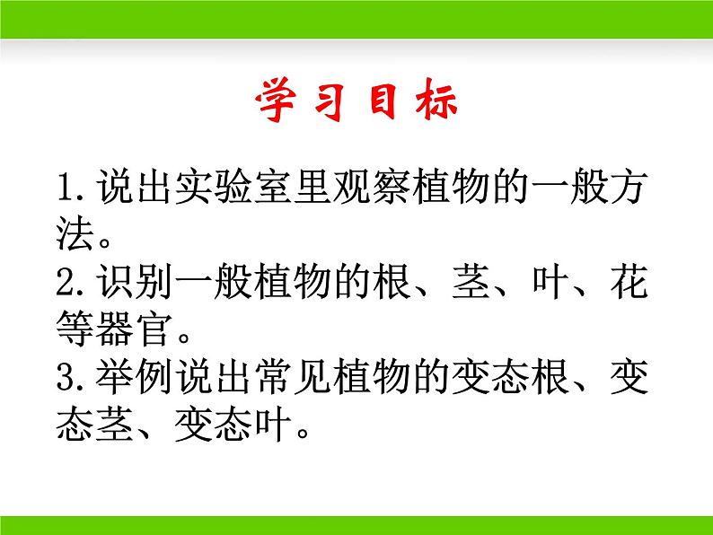 冀少版生物七年级上册 第三章 第一节 在实验室里观察植物课件第2页