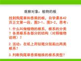 冀少版生物七年级上册 第三章 第一节 在实验室里观察植物课件