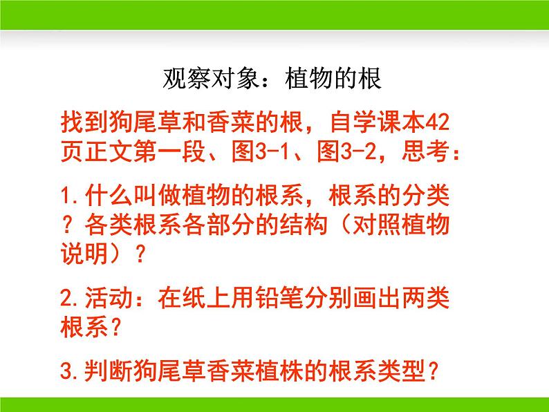 冀少版生物七年级上册 第三章 第一节 在实验室里观察植物课件第3页