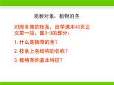 冀少版生物七年级上册 第三章 第一节 在实验室里观察植物课件