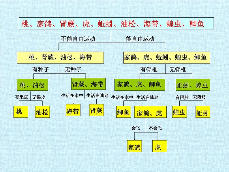 冀少版生物七年级上册 第一单元第五章 生物的分类和鉴别 复习课件第7页