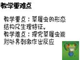冀少版生物七年级上册 第二章 第四节 单细胞生物体课件