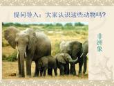冀少版生物七年级上册 第四章 第九节 哺乳动物课件