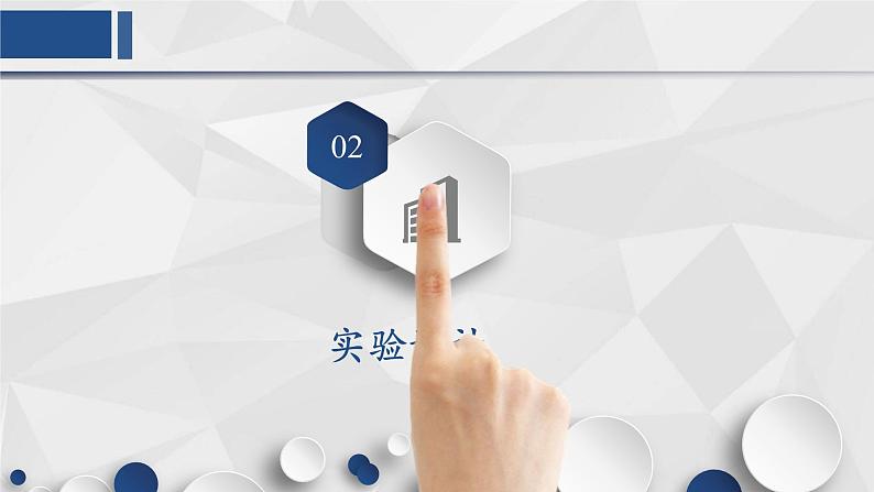 冀少版生物七年级上册 第一章 第四节  学习探究(2)课件第5页