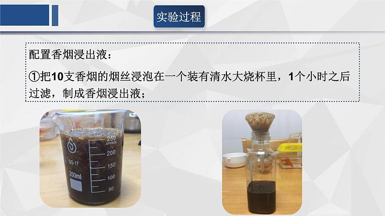 冀少版生物七年级上册 第一章 第四节  学习探究(2)课件第8页