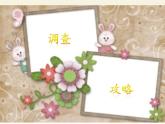 冀少版生物七年级上册 第四章 第一节   田野动物调查(2)课件
