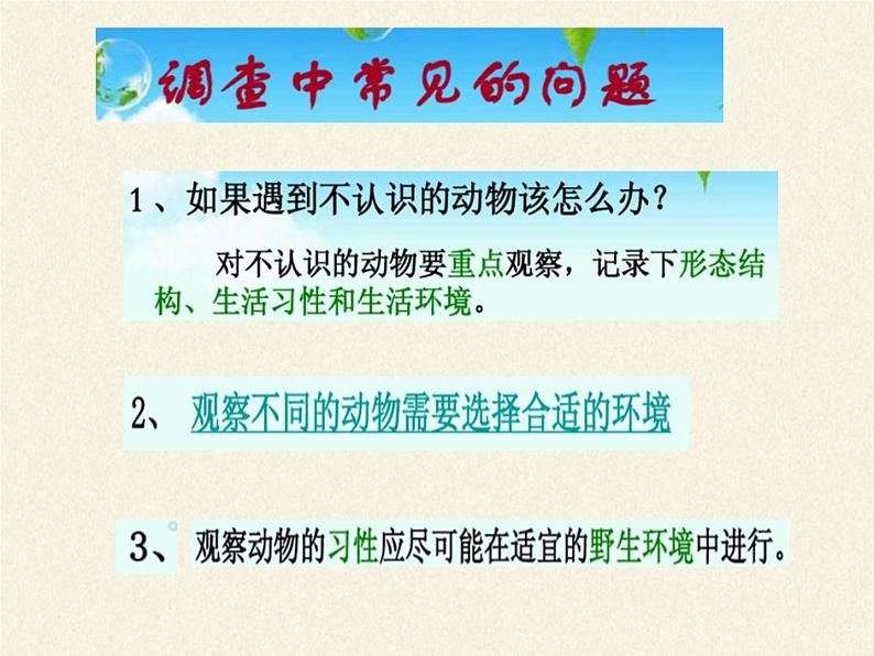 冀少版生物七年级上册 第四章 第一节   田野动物调查(2)课件第6页