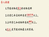 冀少版生物七年级上册 第四章 第五节  节肢动物课件