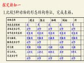 冀少版生物七年级上册 第四章 第五节  节肢动物课件