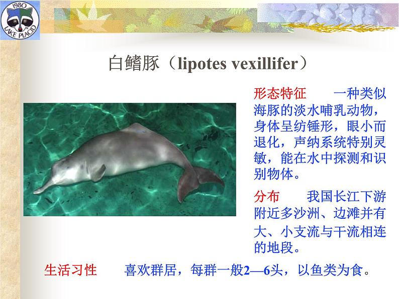 冀少版生物七年级上册 第四章 第十节 我国的珍稀动物_课件06