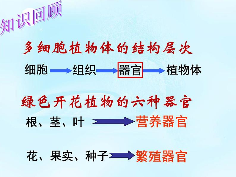 冀少版生物七年级上册 第二章 第四节 单细胞生物体_课件第2页