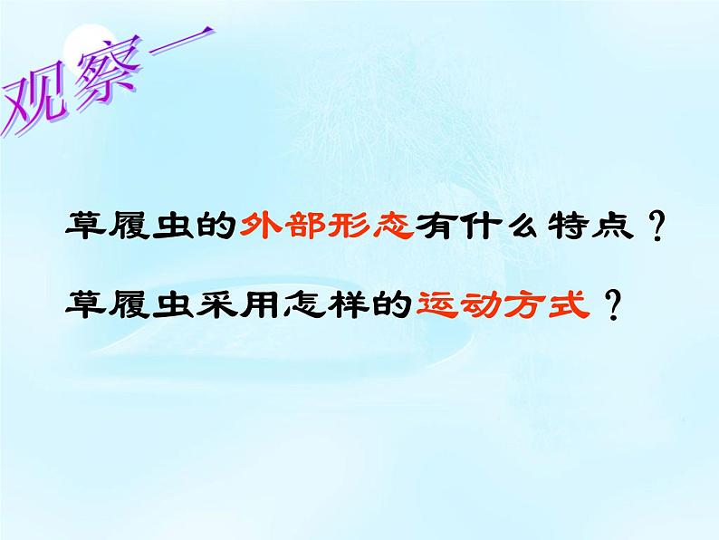 冀少版生物七年级上册 第二章 第四节 单细胞生物体_课件第5页