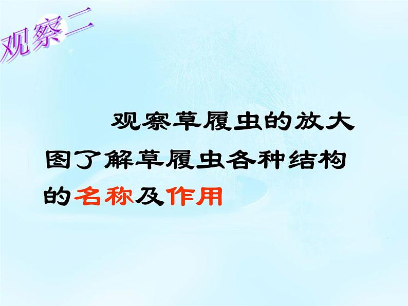 冀少版生物七年级上册 第二章 第四节 单细胞生物体_课件第8页