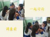冀少版生物七年级上册 第四章 第一节   田野动物调查(3)课件