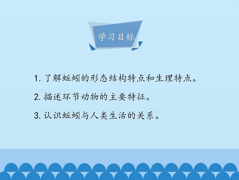 冀少版生物七年级上册 第四章 第三节 线形动物和环节动物-第二课时_课件04