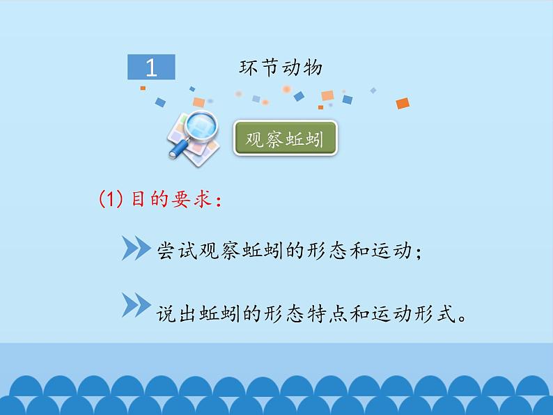 冀少版生物七年级上册 第四章 第三节 线形动物和环节动物-第二课时_课件05