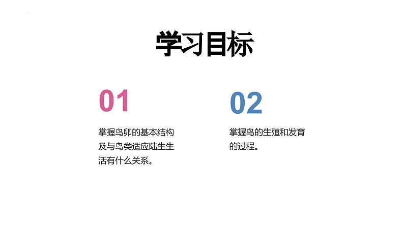 7.1.4++鸟的生殖和发育++课件-2023-2024学年人教版生物八年级下册第2页