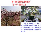 7.1.1++植物的生殖++课件-2023-2024学年人教版生物八年级下册