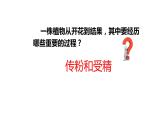 7.1.1++植物的生殖++课件-2023-2024学年人教版生物八年级下册
