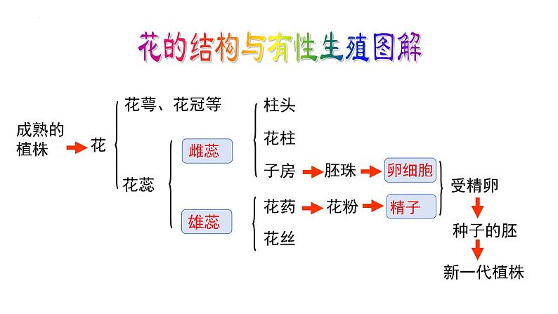 7.1.1++植物的生殖++课件-2023-2024学年人教版生物八年级下册第7页