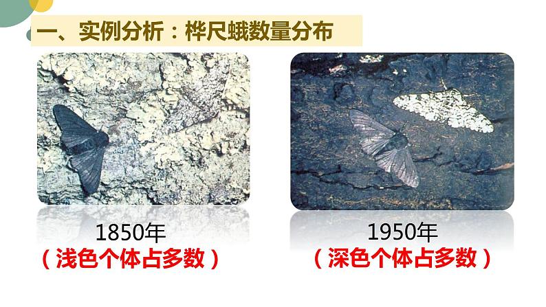 5.1.4++生物进化的原因++课件-2023-2024学年济南版生物八年级下册05