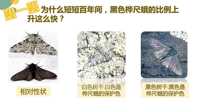 5.1.4++生物进化的原因++课件-2023-2024学年济南版生物八年级下册06