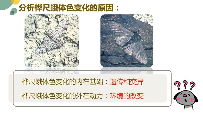 5.1.4++生物进化的原因++课件-2023-2024学年济南版生物八年级下册07
