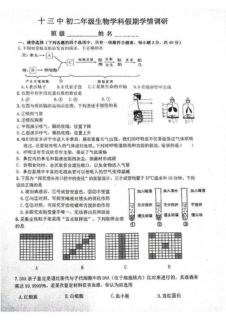山东省济宁市第十三中学2023-2024学年七年级下学期开学学情调研生物试题01