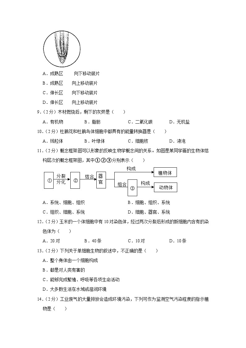 安徽省合肥市肥西县2023-2024学年七年级上学期期末生物学试卷+02