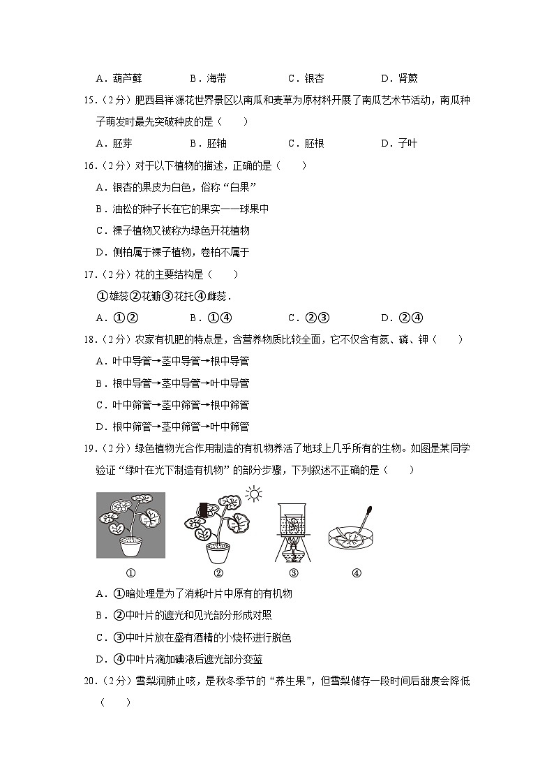 安徽省合肥市肥西县2023-2024学年七年级上学期期末生物学试卷+03