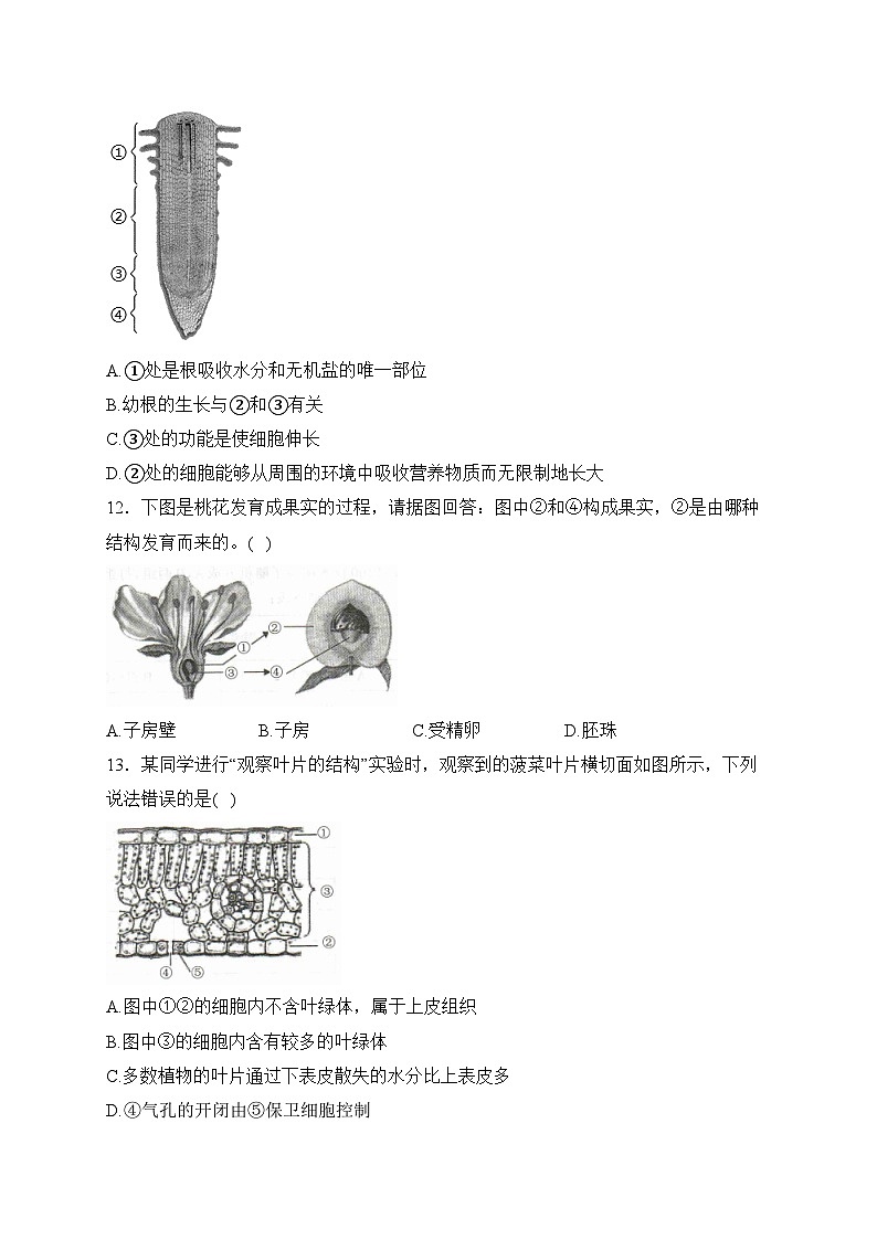 河南省驻马店市平舆县2023-2024学年七年级上学期期末学情测评生物试卷(含答案)03