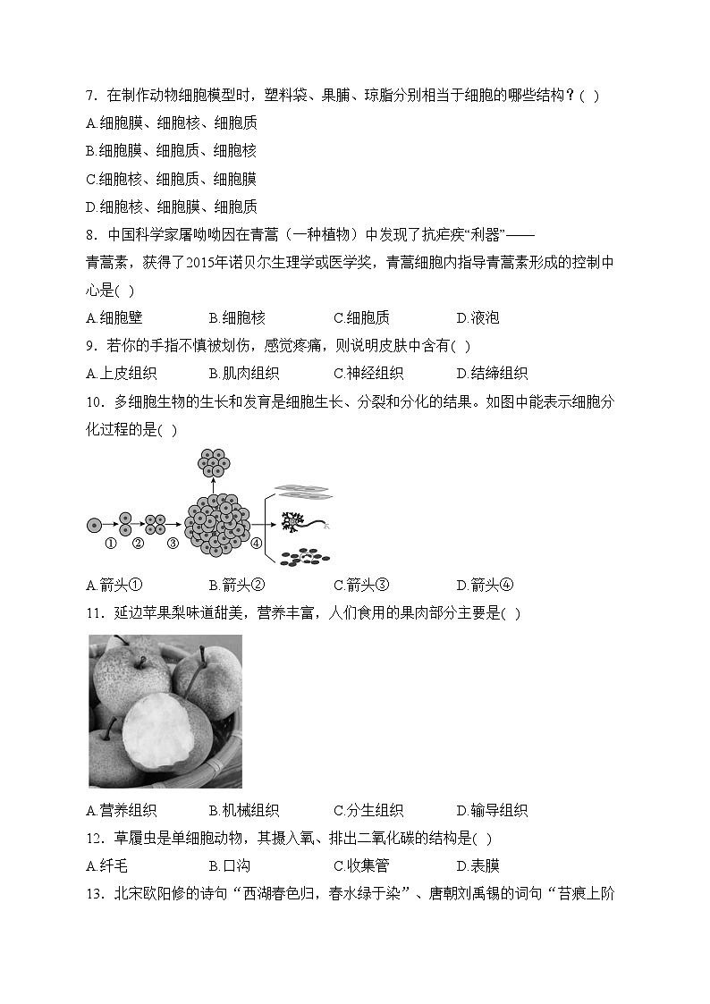 吉林省四平市伊通县2023-2024学年七年级上学期期末考试生物试卷(含答案)第2页