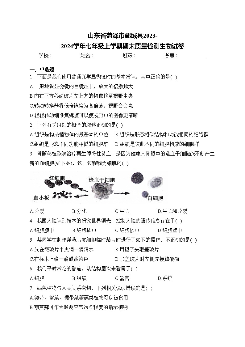 山东省菏泽市鄄城县2023-2024学年七年级上学期期末质量检测生物试卷(含答案)01